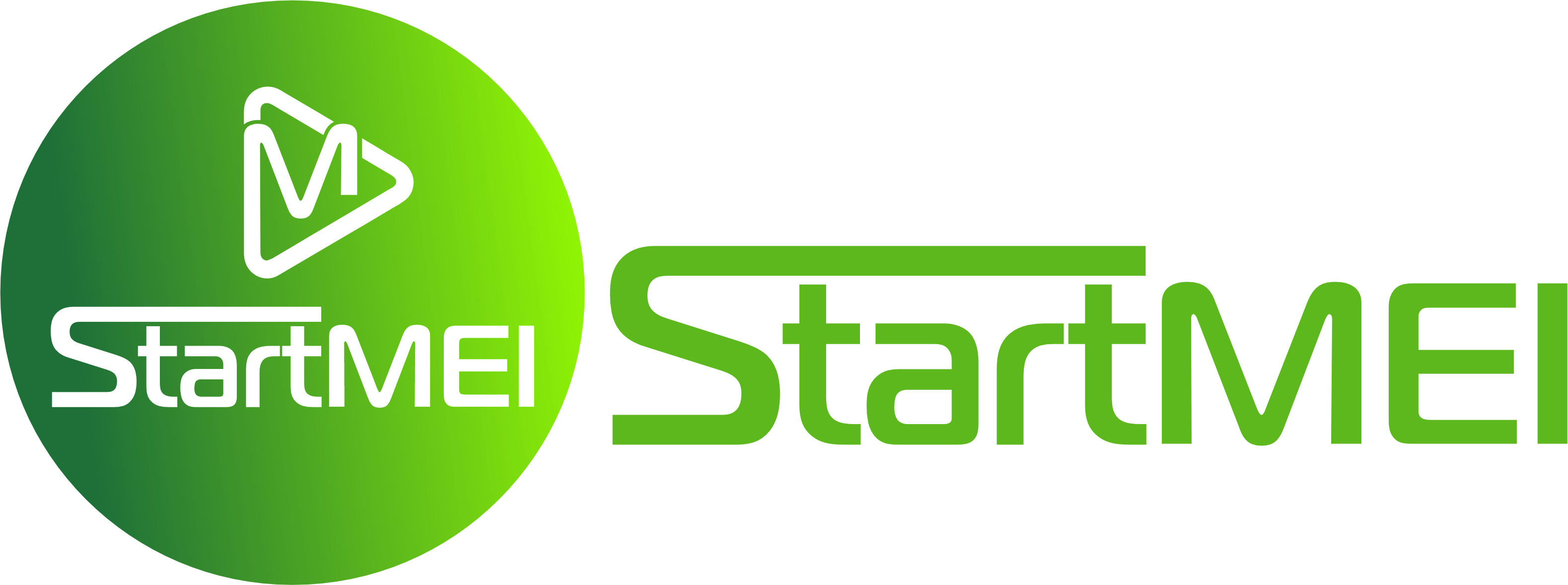 StartMEI